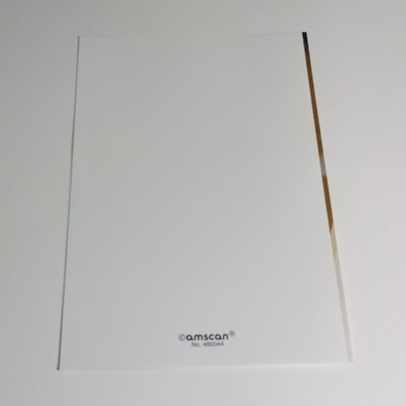 $2 Add-on Graduation Blank Thank You Notes Leftovers - Picture 3 of 4